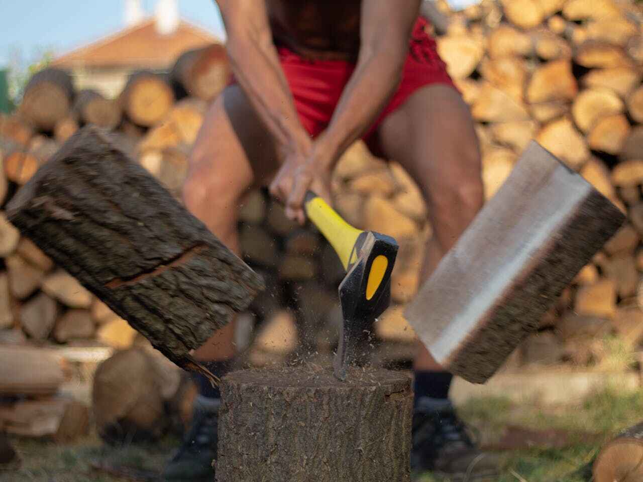 Best Emergency Storm Tree Removal  in Sparta, MO